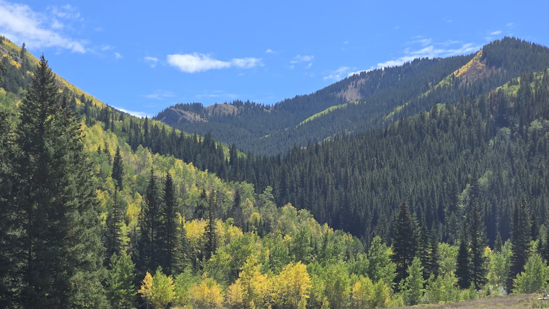 Aspen photo 10